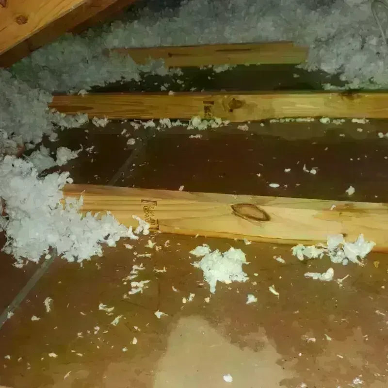 Attic Water Damage in Aguanga, CA